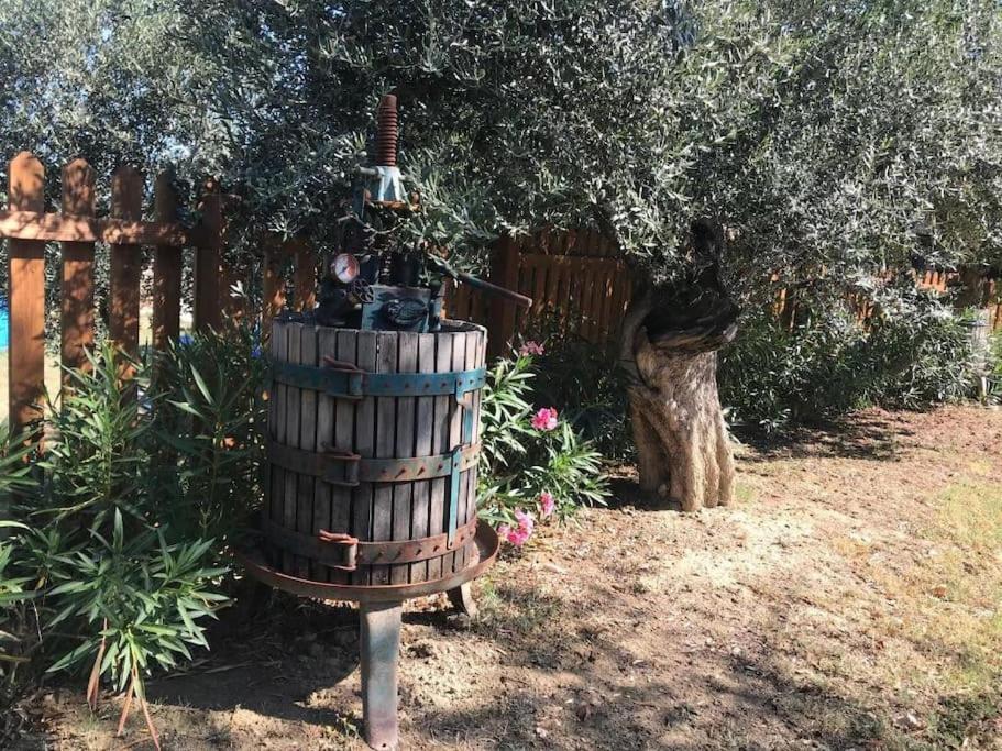 Appartamento Olivo Collecorvino Exterior photo